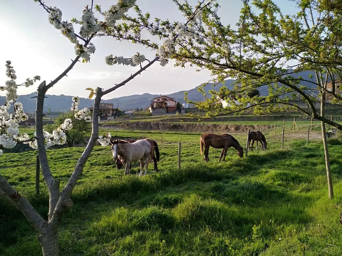 Les Roviles San Pedro de Torelló